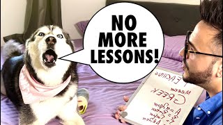 Teaching My Talking Husky a New Language | Greek Language Lesson