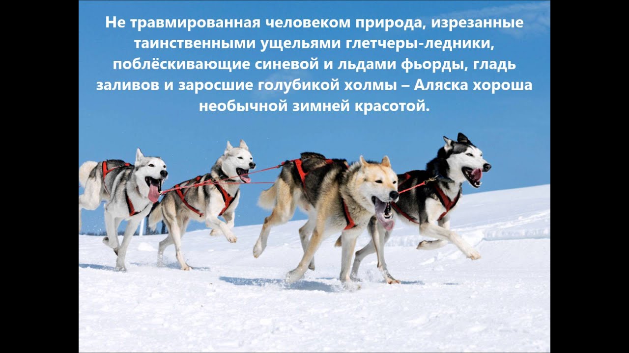 KL7RA NN1N/NL1 Аляска. С сайта dxing.at-communication.com