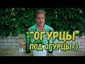 Водка "Огурцы" под огурцы :)