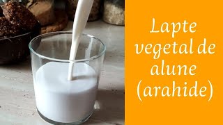 Lapte raw vegetal din alune | Vegan de România