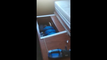 Insulating windows in my RV