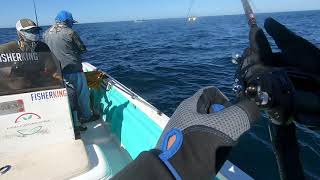 Pez en fuga #Jigging - El Farallón Topolobampo