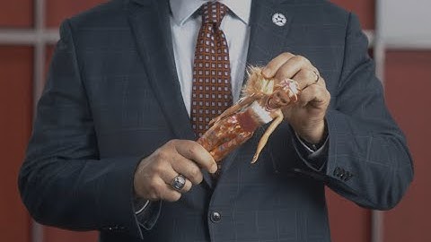 The Allergy Testing Company