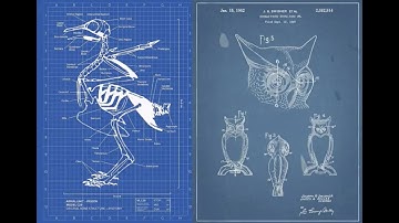 Major Spark - Birds Aren