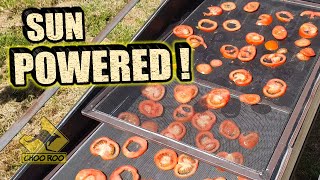 DIY Solar dehydrator and sun dried tomatoes  CHEAP AND EASY BUILD