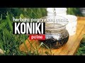 Nietypowa herbata pogryziona przez koniki polne. Czajnikowy.pl