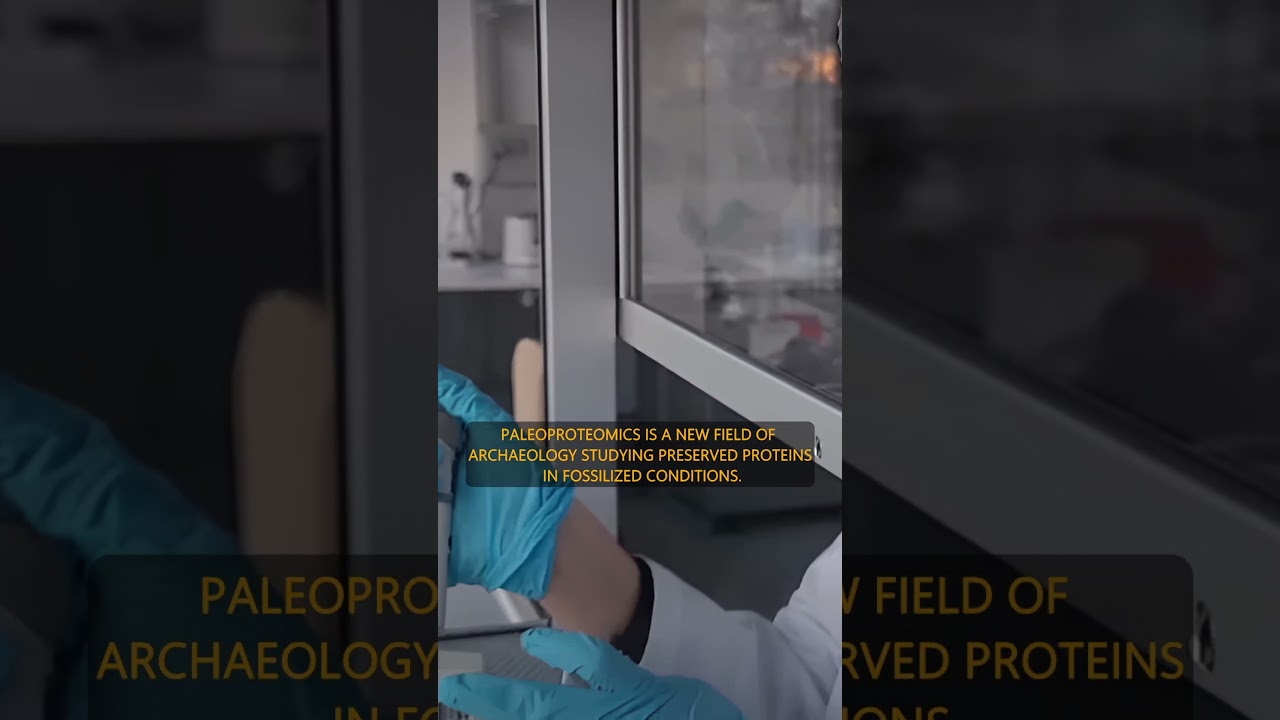 Homo Sapiens Found in Europe Way Earlier! 