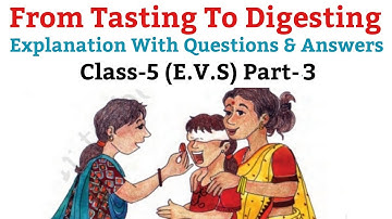 From Tasting To Digesting, | Explanation With Questions And Answers, E.V.S For Class 5  | Part-3