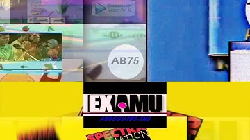 Scan vs Round 11 (Round to Scan)