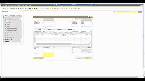 SAP Business One 9.1 - Multiple branches