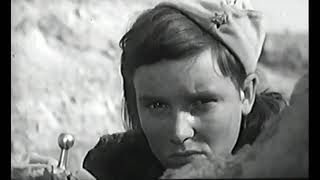 На Киевском Направлении 1967 Бои Под Киевом, 1941 Год