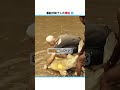 釣り番組が終了した理由 🥶