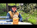 Квашенная капуста до мая хрустит! Лучший наш рецепт