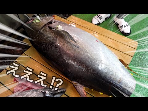 【朝5時】市場にすごいマグロと、絶滅したと思っていた◯◯が売っていた!買います!