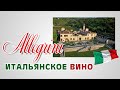 Итальянское вино. Винодельня ALLEGRINI, Венето