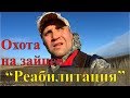 Охота на зайцев - Реабилитация