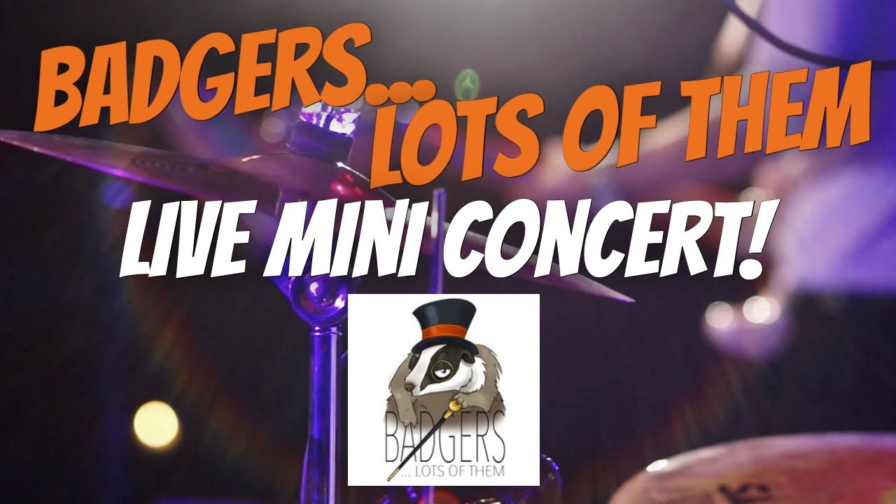 Website "Live" Launch // Mini Concert // Badgers... Lots Of Them