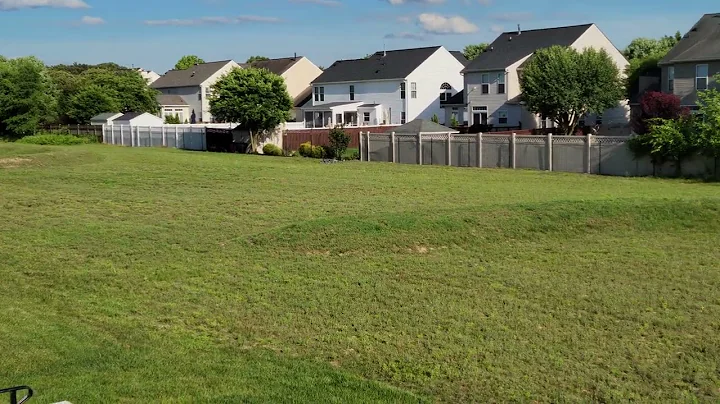 My Back Yard