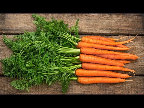 Вот почему не стоит выбрасывать ботву моркови. Супер польза морковной ботвы
