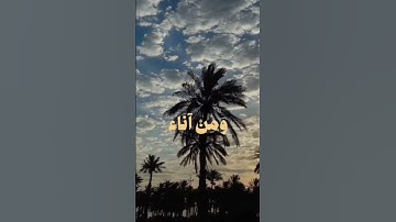 اكتب شيءٍ توجر علي القارئ: محمد ايوب سورة طه
