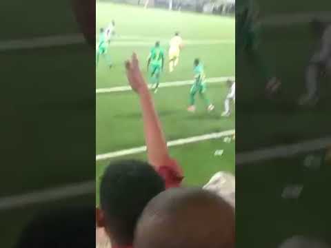من داخل إستاد شهداء بنينا ليبيا مباراة السودان السنغال بالتوفيق لي صقور الجديان