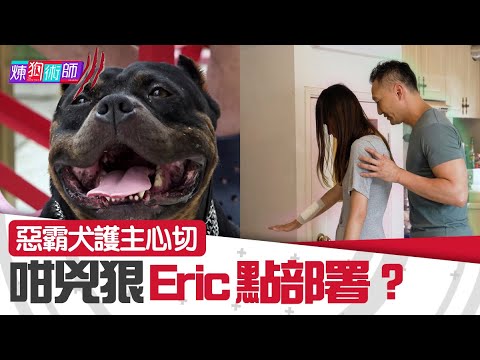 屈臣氏 Wats Petmacy 寵物藥妝呈獻：煉狗術師III｜EP11 Part1｜惡霸犬護主心切 咁兇狠Eric點部署？ ｜ Eric Ko ｜ 鄺芷凡 ｜惡霸犬｜HOY｜HOYTV