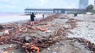 видео: В Батумі шторм та сильний вітер, вересень2025 #моревбатумі#батумі2025#відпочиноквбітумі #штормбатумі картинка: В Батумі шторм та сильний вітер, вересень2025 #моревбатумі#батумі2025#відпочиноквбітумі #штормбатумі