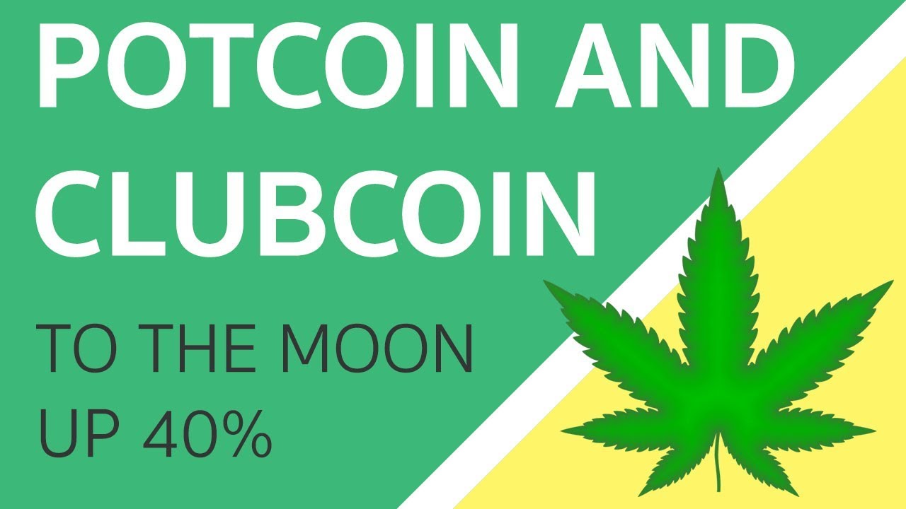 TOP 2 ALT COINS TO TRADE! POTCOIN & CLUBCOIN PRICE PREDICTION! TECHNICAL ANALYSIS