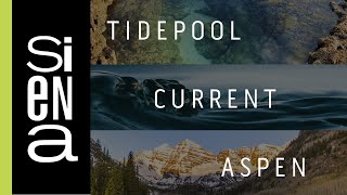 Siena Presents: Tidepool, Current and Aspen