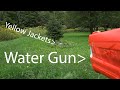 How to Remove a Wasp Nest (Safely) with soapy water and a squirt gun! A POWERFUL Squirt Gun!