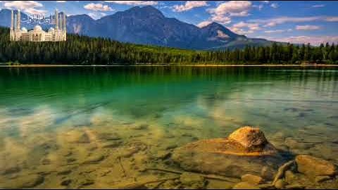 تلاوة خاشعه وجميله من سورة النمل للقارئ اسلام صبحي