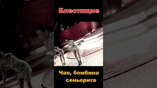 чаобомбинасеньорита #love #красиваямузыка