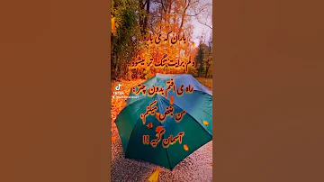 پاییز باران برگ زرد نارنجی احساسی 