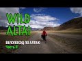 WILD ALTAI Велопутешествие по Алтаю. Часть 2 "Красные горы - Бельтир"