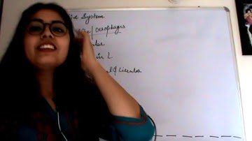 Csir Net Life Science Lectures Module Wise Chapter One Part Twenty | The Digestive System Part 3 |