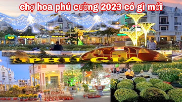 XEM CHỢ HOA KHU ĐÔ THỊ PHÚ CƯỜNG 2023 TẾT