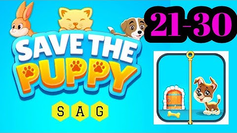 Save the Puppy level 21 22 23 24 25 26 27 28 29 30 gameplay android ios