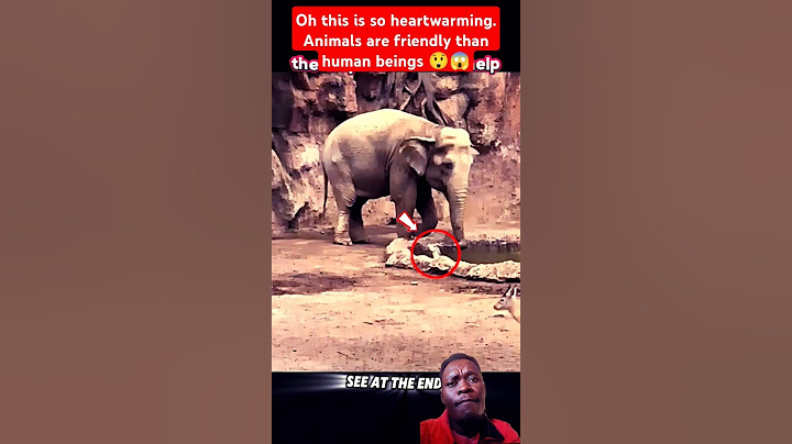 Oh this is so heartwarming. Animals are friendly than human beings 😲😱 #livekindly #thanksvegan