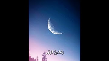 القران الكريم _ سورة الرعد _ القارئ عبدالرحمن مسعد _ تلاوة خاشعة جميلة جدا --❤️ _ حالات واتس اب#الله