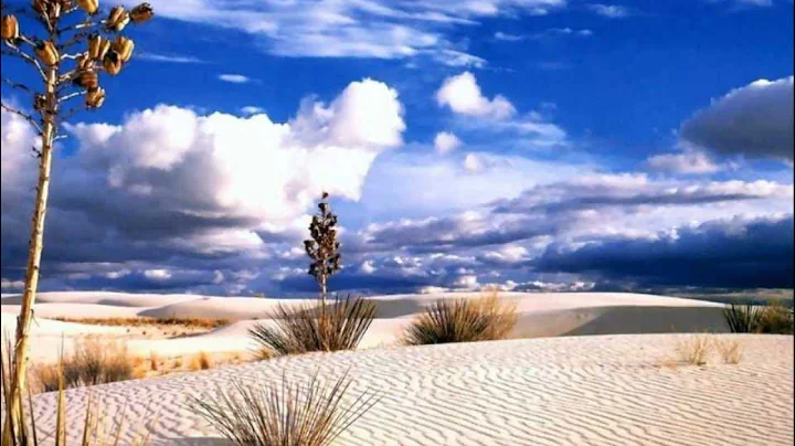 JUZ 6 The Holy Quran Abdul Rahman bin Abdul Aziz Sudais