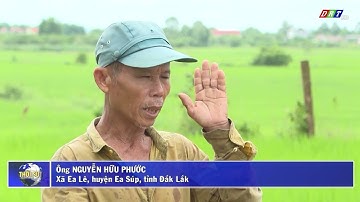 Phát huy vai trò của hợp tác xã trong xây dựng nông thôn mới| Truyền hình Đắk Lắk