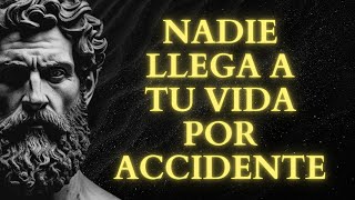 Las personas NUNCA llegan a nuestras vidas por Casualidad | PODEROSAS Historias de ESTOICISMO