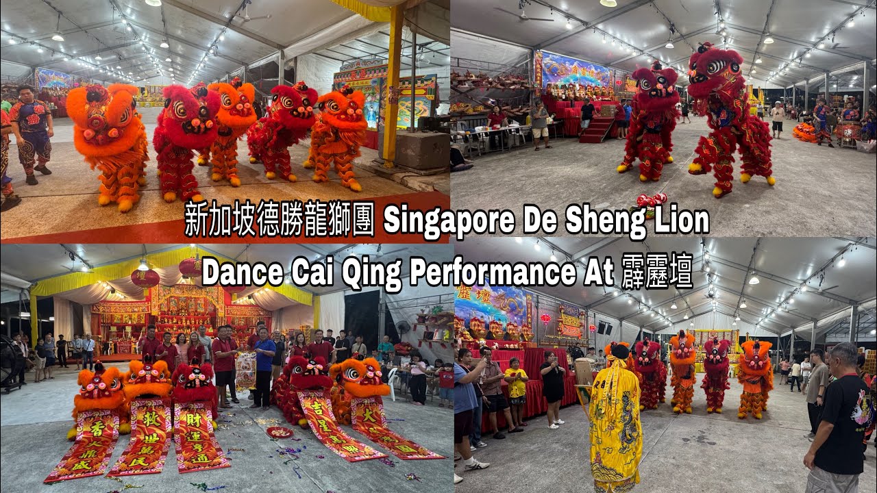新加坡德勝龍獅團 Singapore De Sheng Lion Dance Cai Qing performance at 霹靂壇 29 .12 .25 