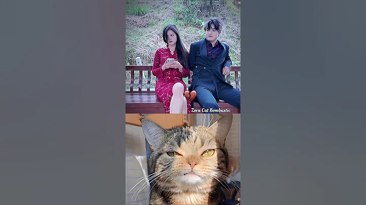 Video 11904811: funny cat reaction, cat first funny