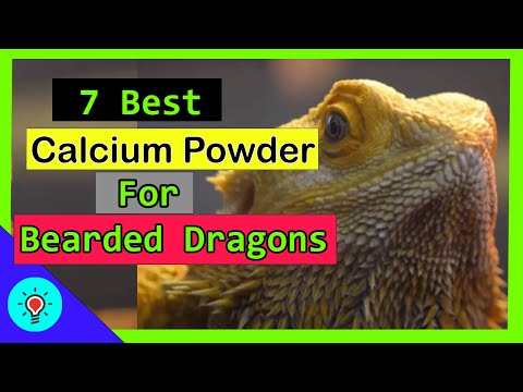 View of 7 Best Calcium Powder For Bearded Dragons in 2022 - Whats Best - YouTube