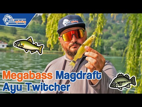 Megabass MAGDRAFT AYU TWITCHER