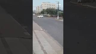 Houd je vast, het wordt wild #shorts