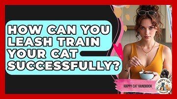 How Can You Leash Train Your Cat Successfully? - Happy Cat Handbook