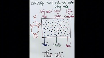 NGUYÊN LÝ VẬN HÀNH TIỀM THỨC