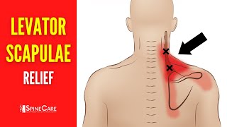 How to Fix Levator Scapulae Pain FOR GOOD